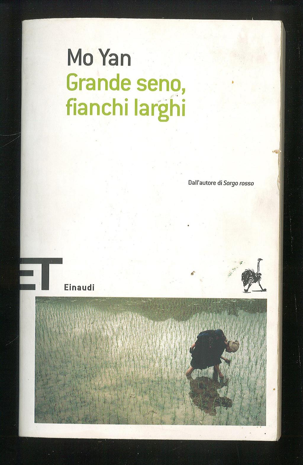 Grande seno, fianchi larghi