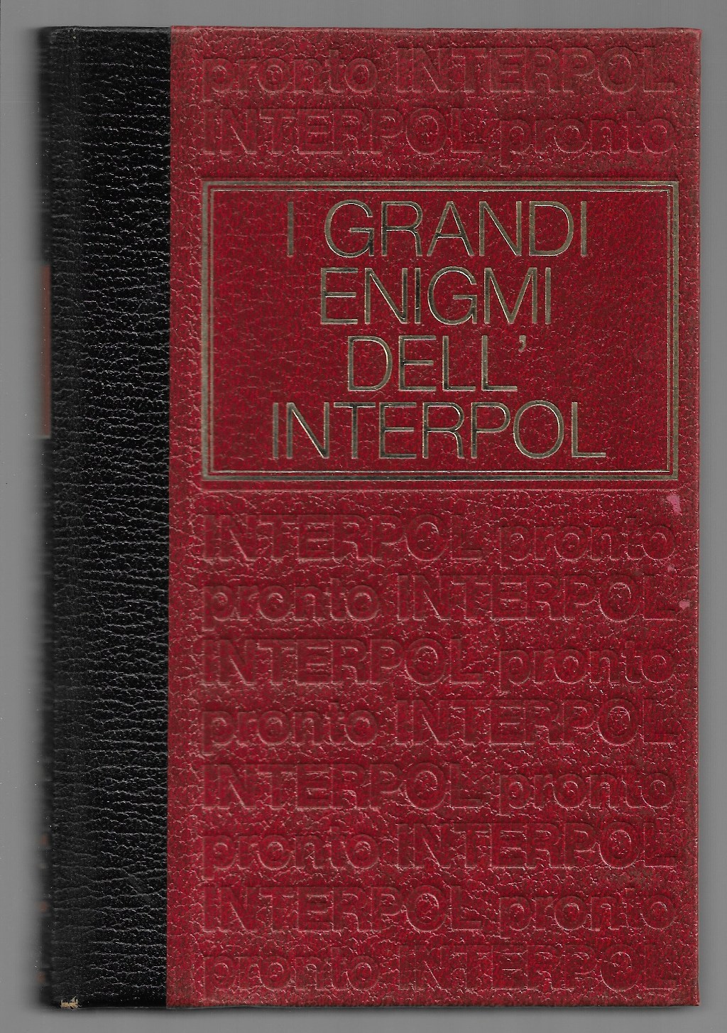 I grandi enigmi dell’Interpol – dossier n° 2