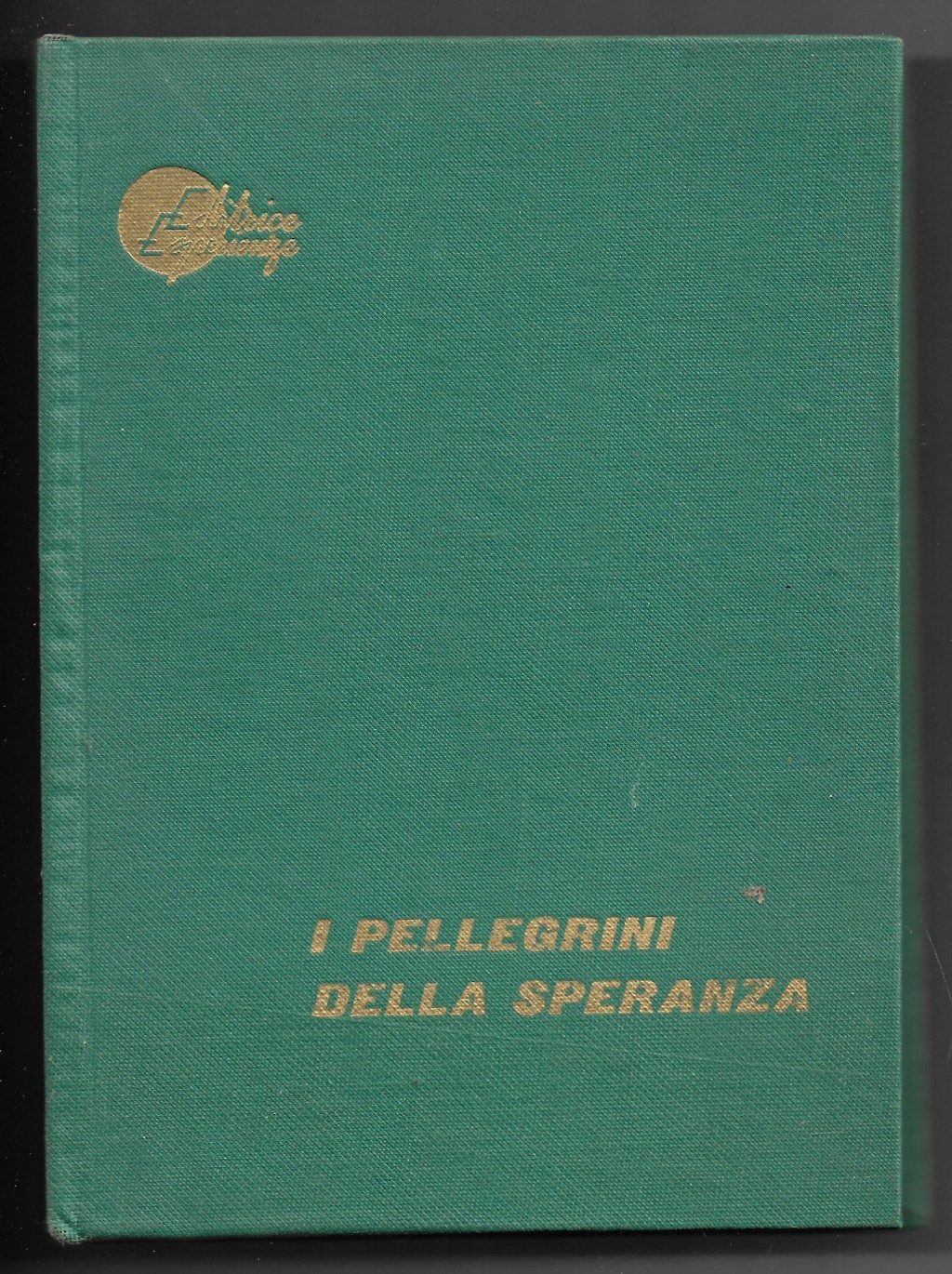 I pellegrini della speranza