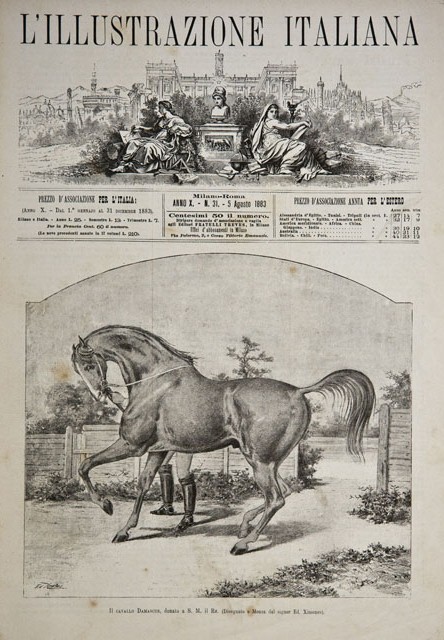 Il cavallo Damascus, donato a S. M. il Re