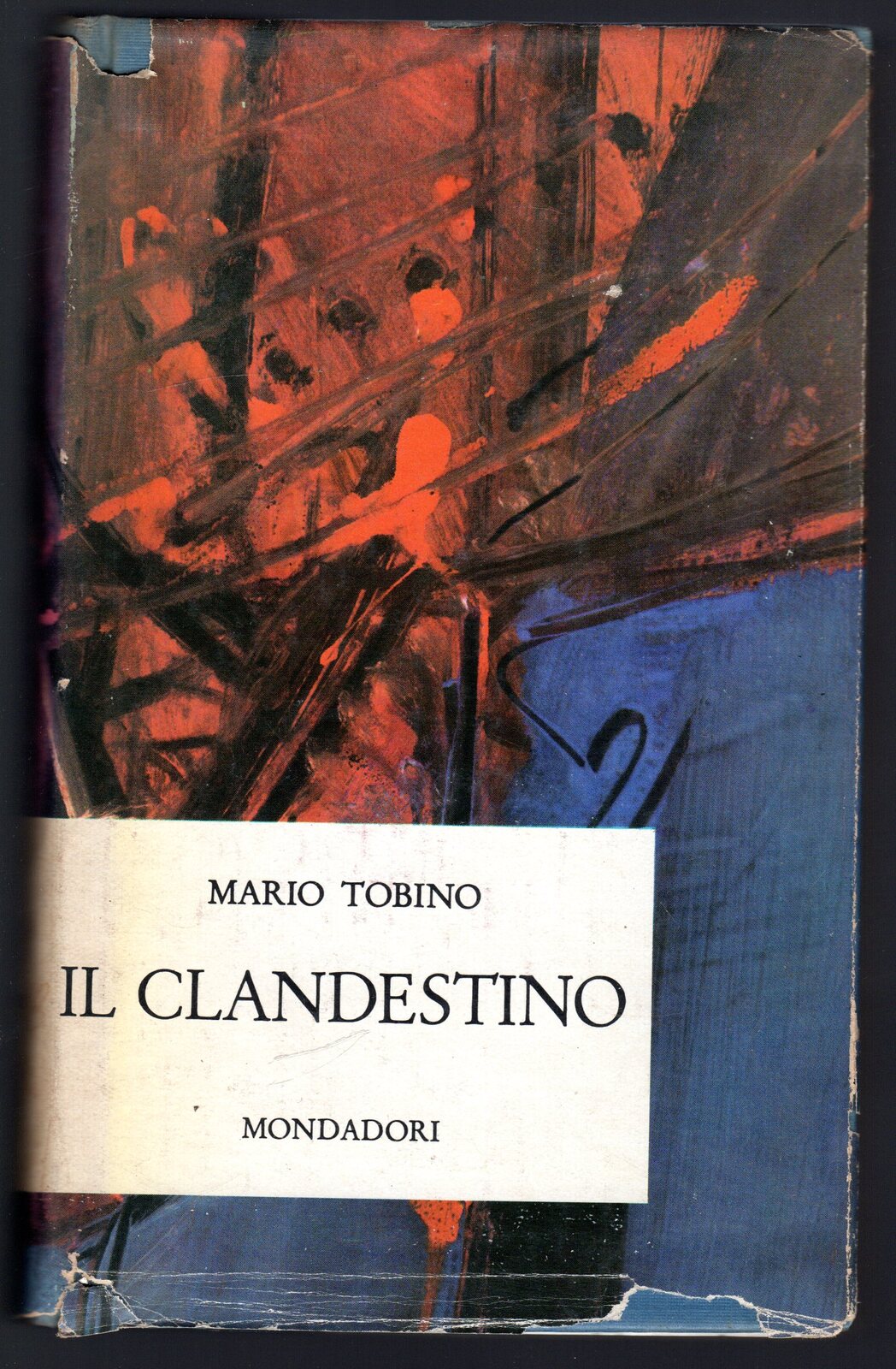 Il clandestino