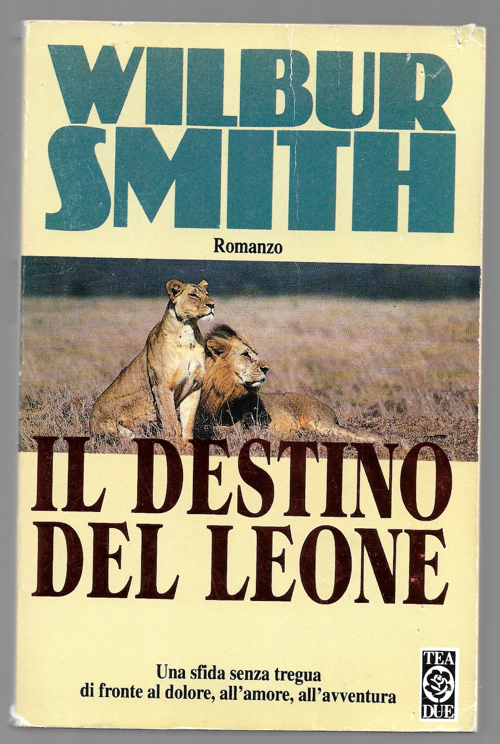 Il destino del leone