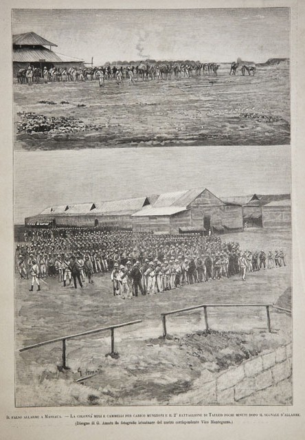 Il falso allarme a Massaua.- La colonna muli e cammelli …