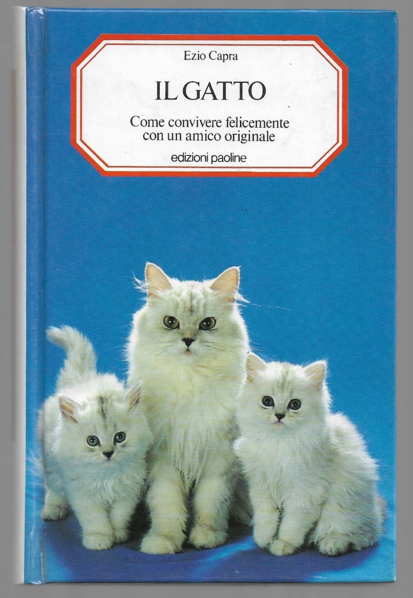 Il gatto – Come convivere felicemente con un amico originale