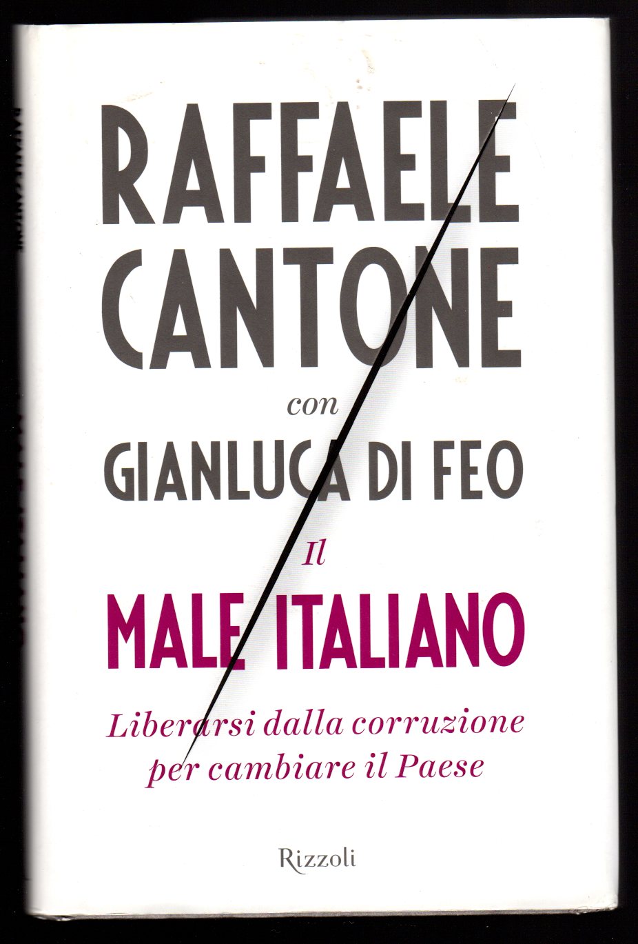 Il male italiano. Liberarsi dalla corruzione per cambiare il Paese