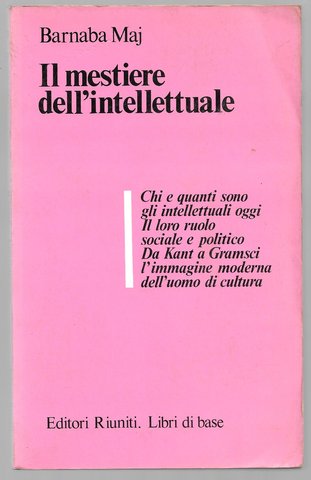 Il mestiere dell'intellettuale