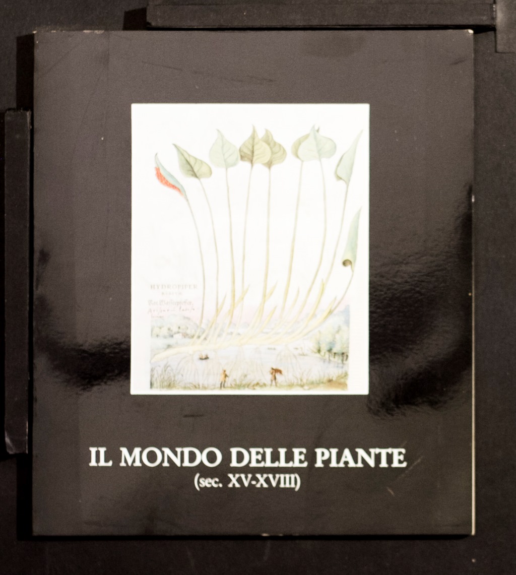 Il mondo delle piante (sec XV-XVIII)