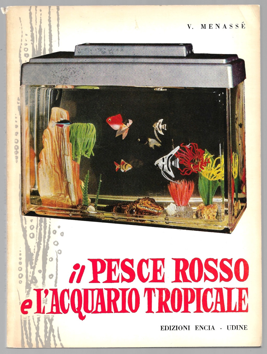 Il pesce rosso e l'acquario tropicale