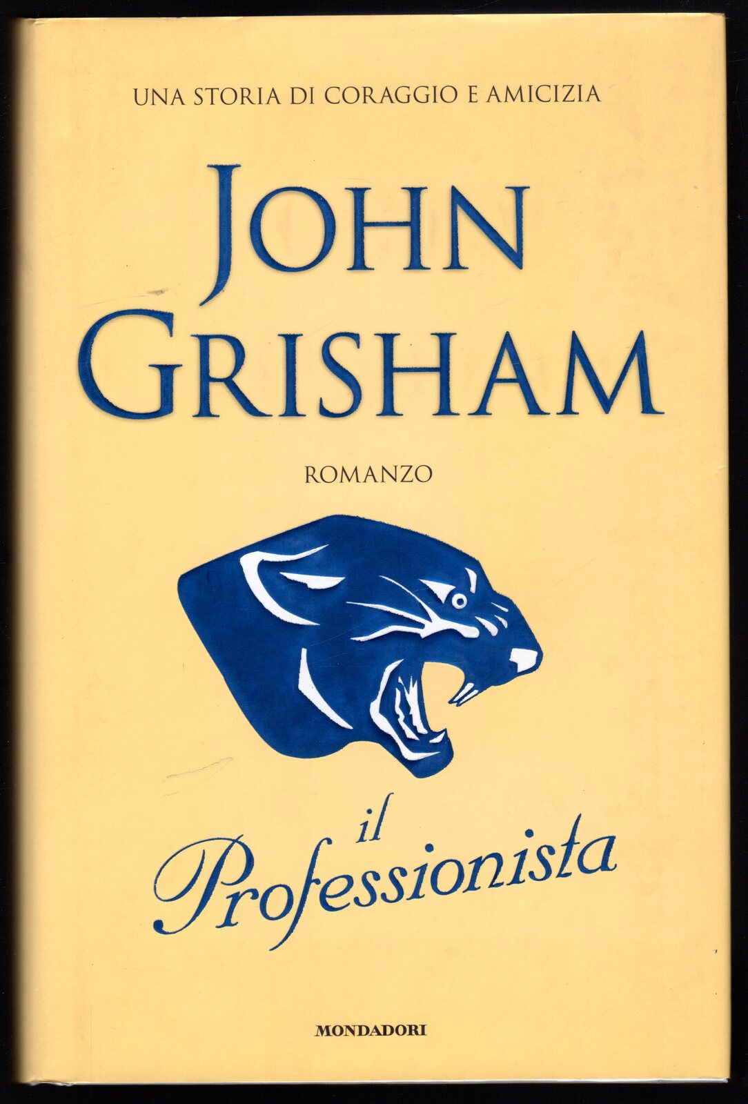 Il professionista