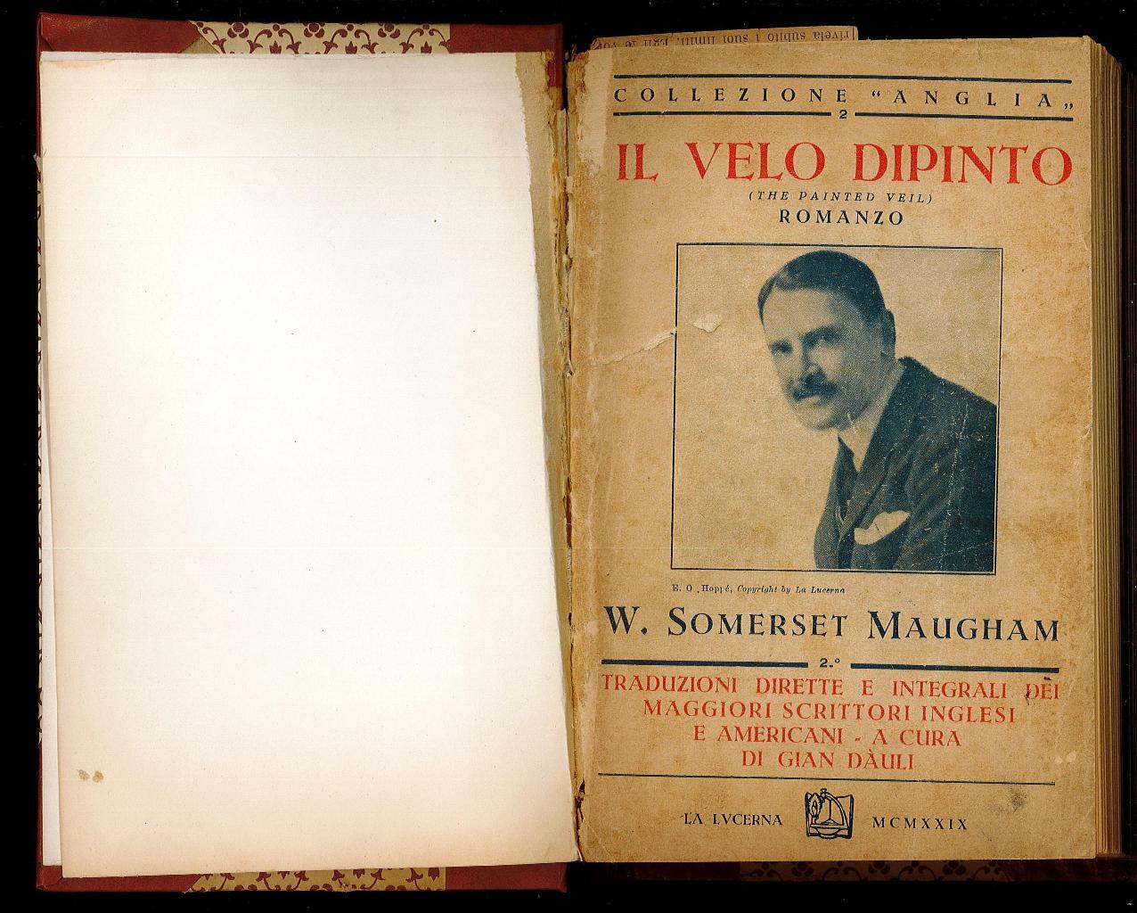 Il velo dipinto