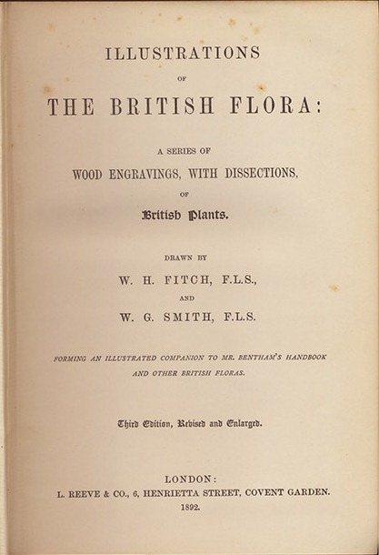 Illustrations of The British Flora: a series of Wood Engravings, …