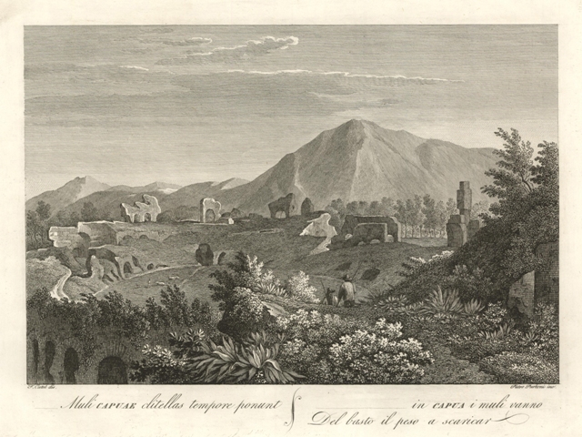 .in Capua i muli vanno Del basto il peso a …