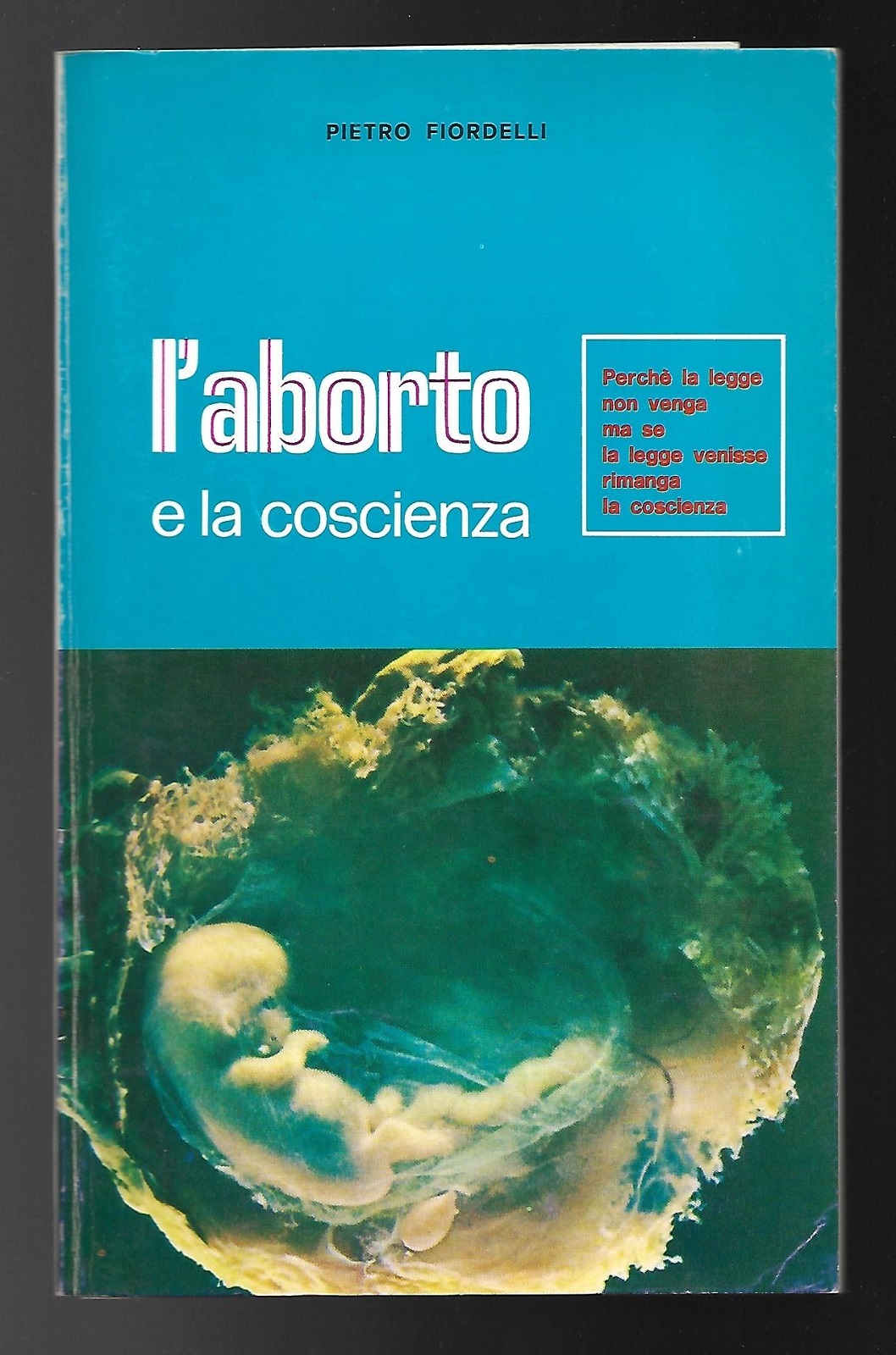 L'aborto e la coscienza. Perchè non venga la legge ma …