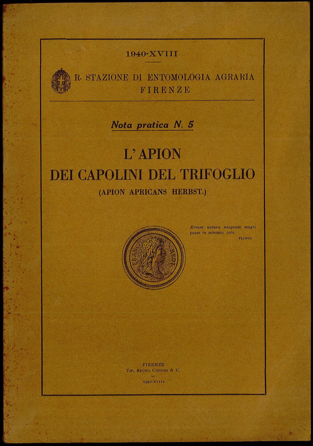 L'Apion dei capolini del trifoglio