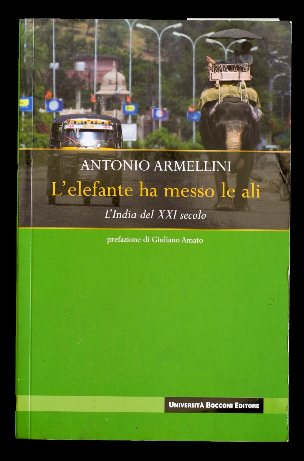 L'elefante ha messo le ali. L'India del XXI secolo