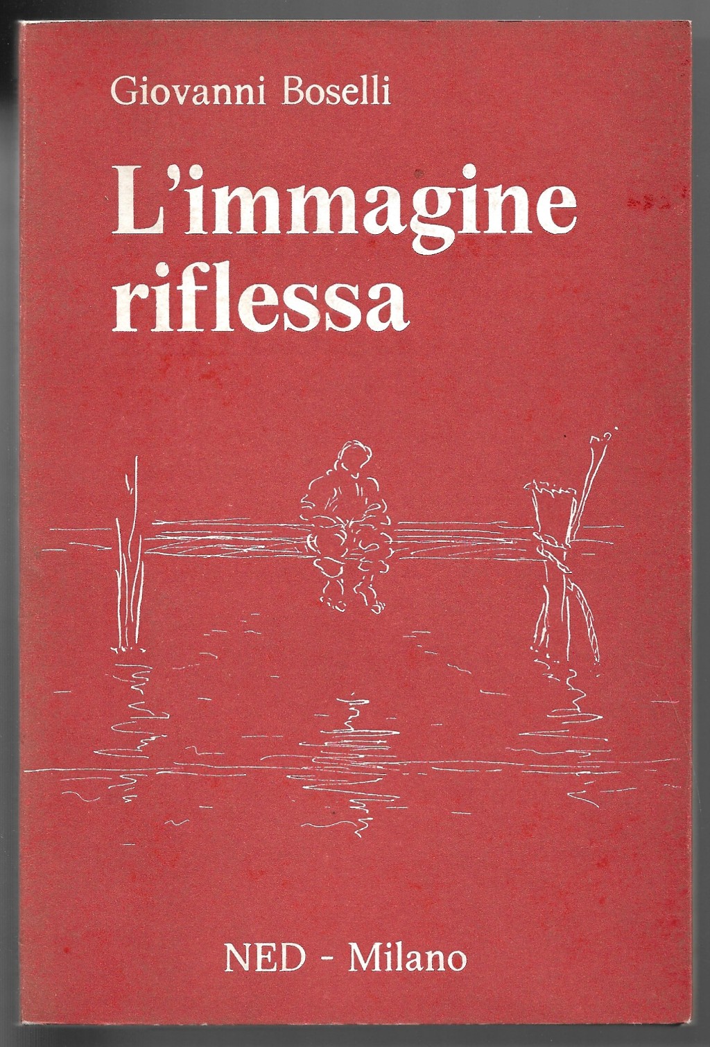 L'immagine riflessa