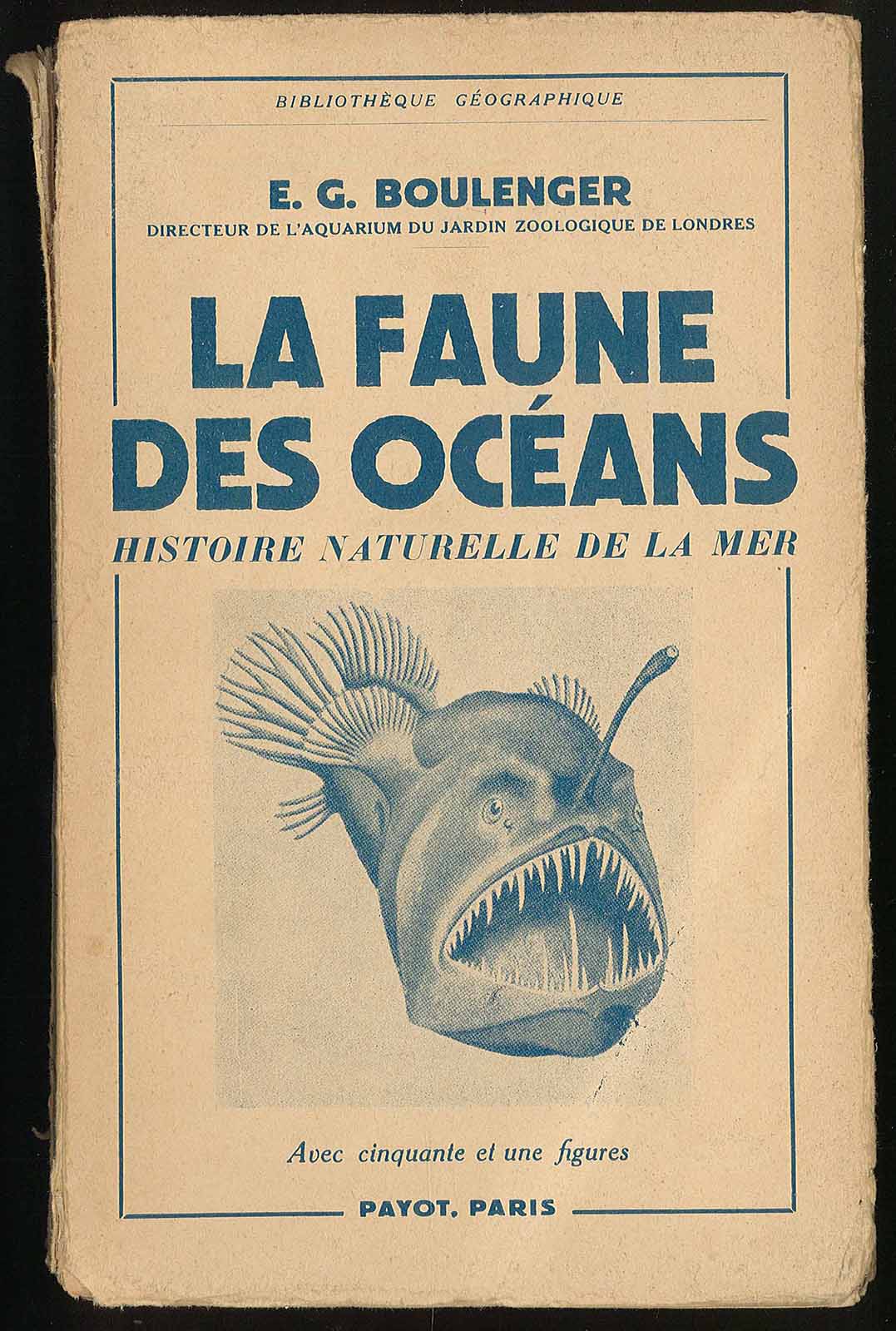 La faune des océans