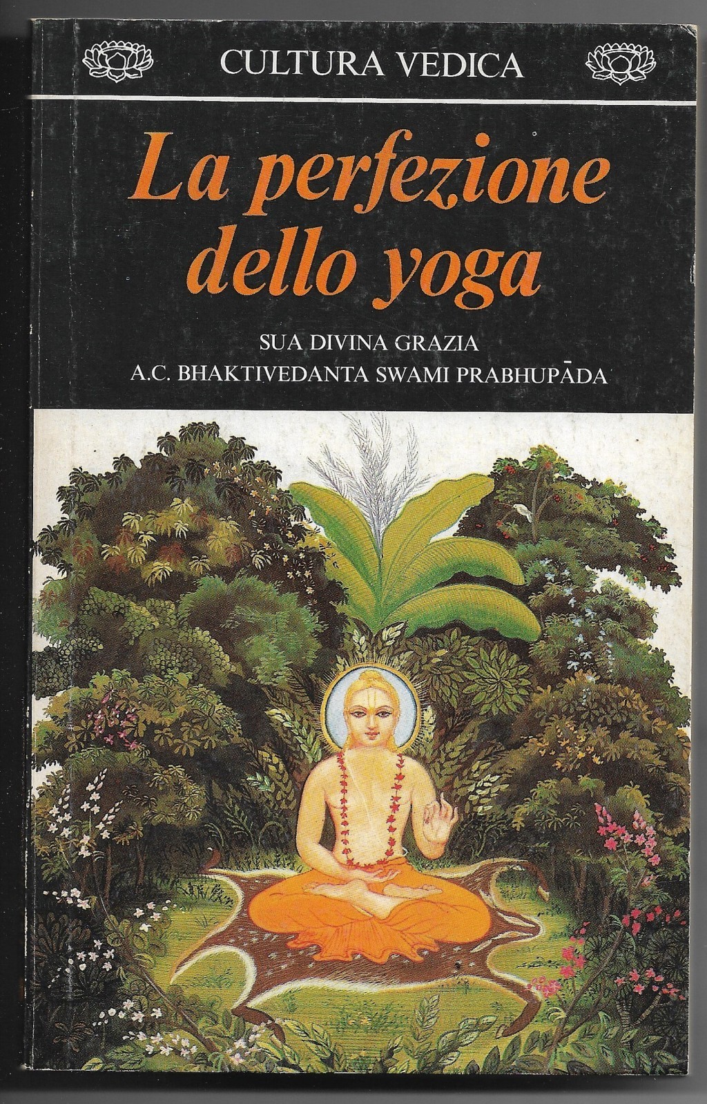 La perfezione dello yoga