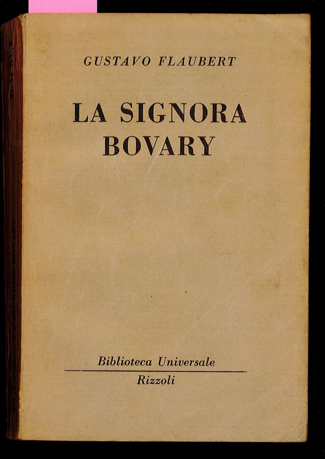 La signora Bovary