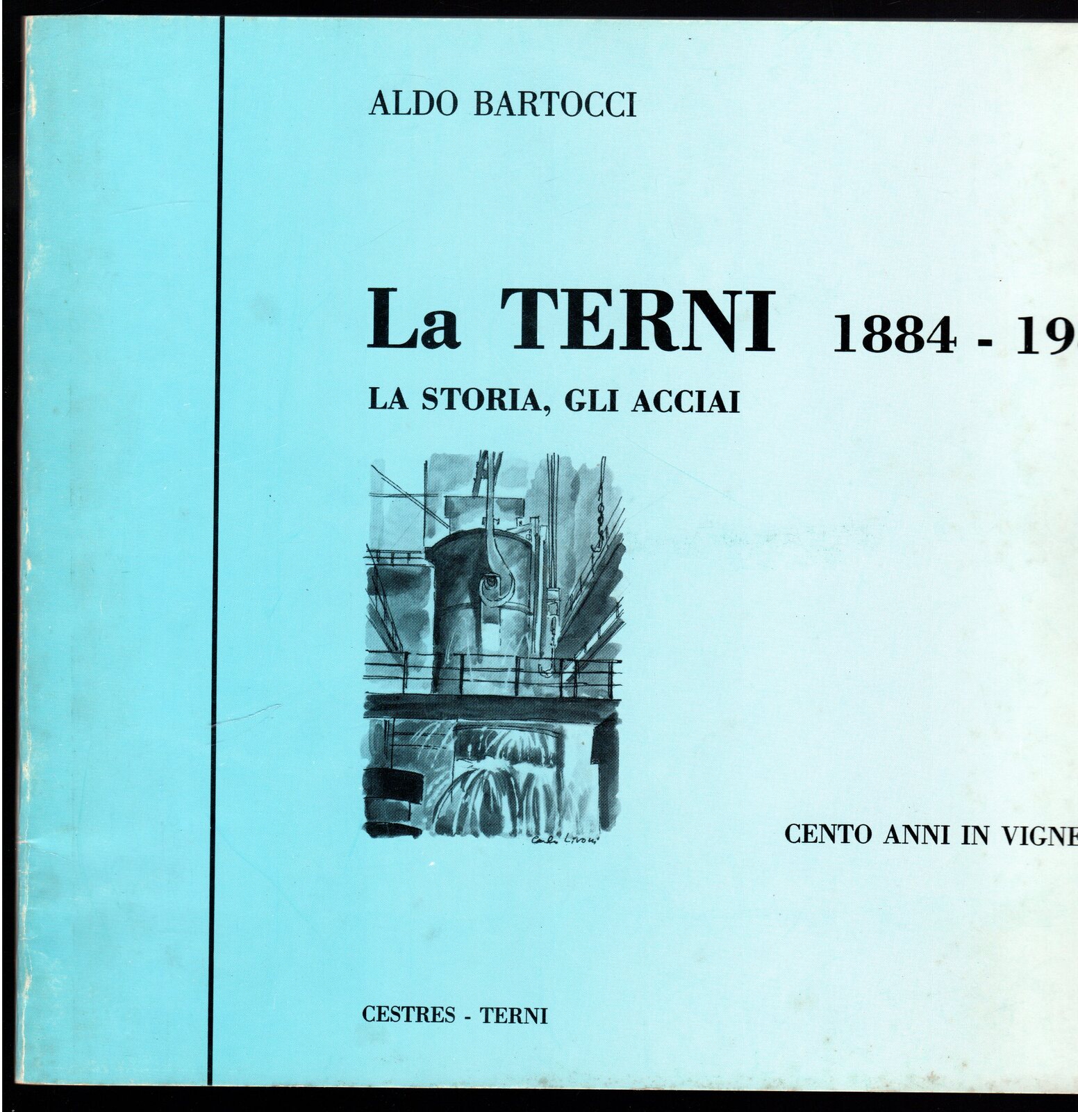 La Terni 1884 - 1984. La storia, gli acciai