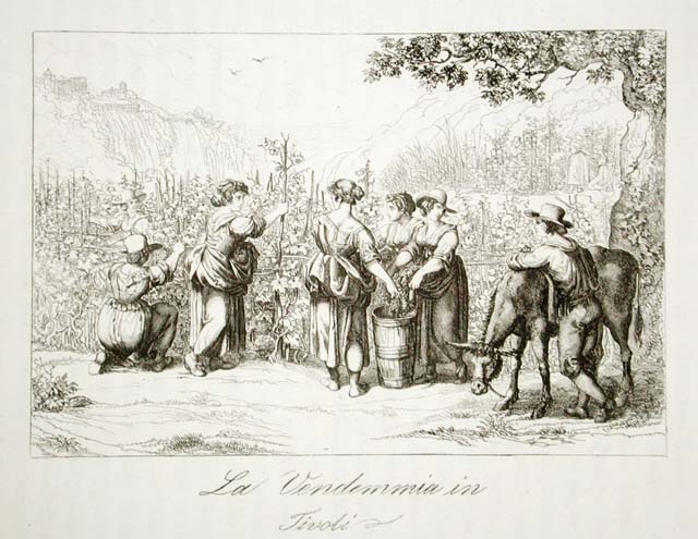 La Vendemmia in / Tivoli