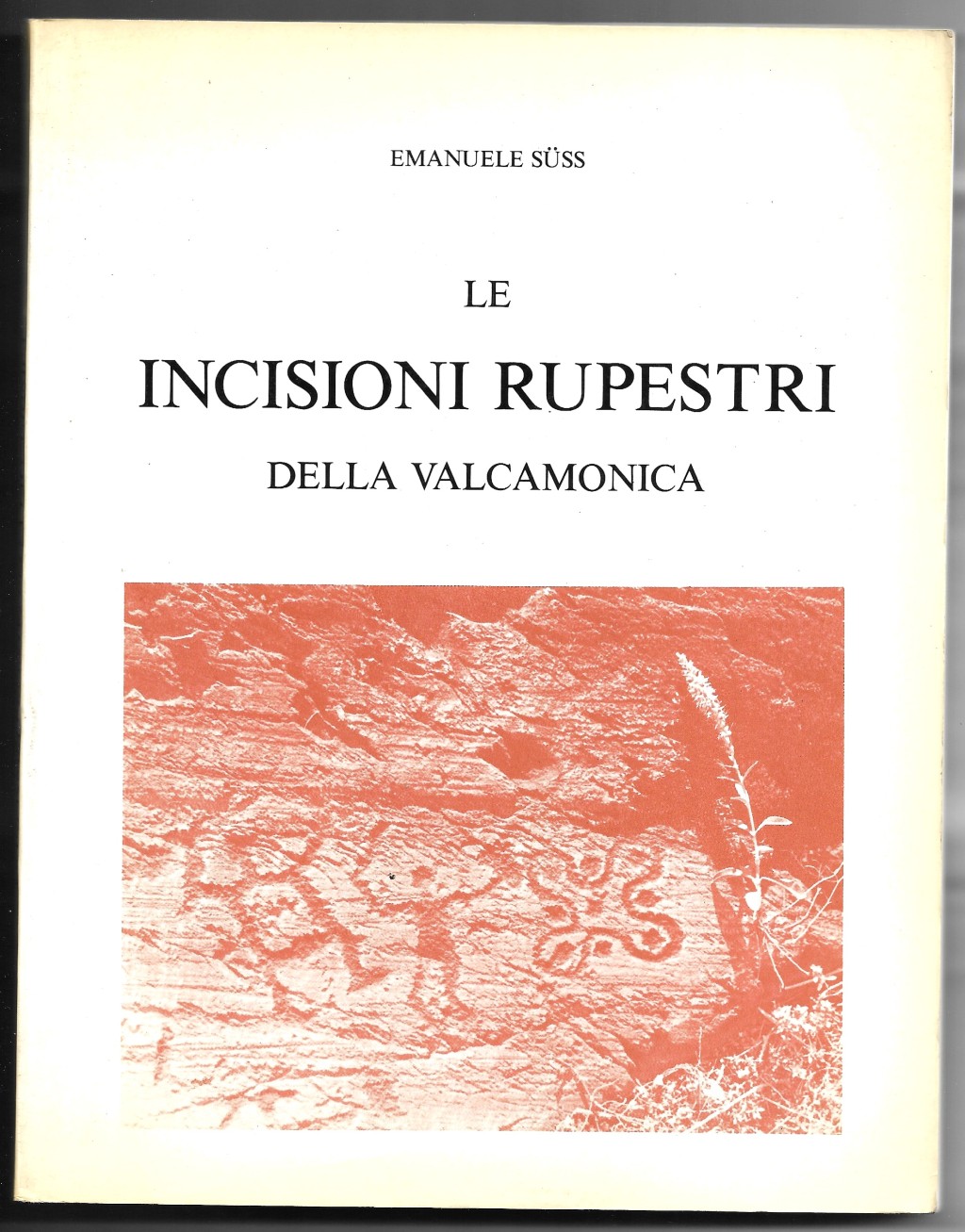 Le incisioni rupestri della Valcamonica