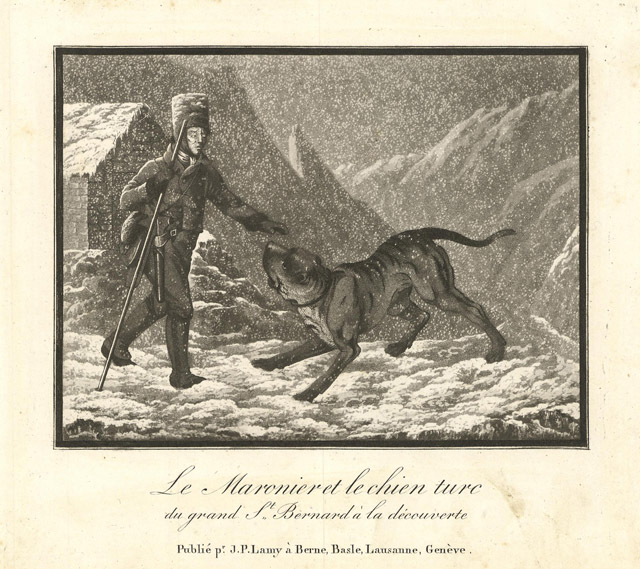 Le Maronier et le chien turc du grand St. Bernard …