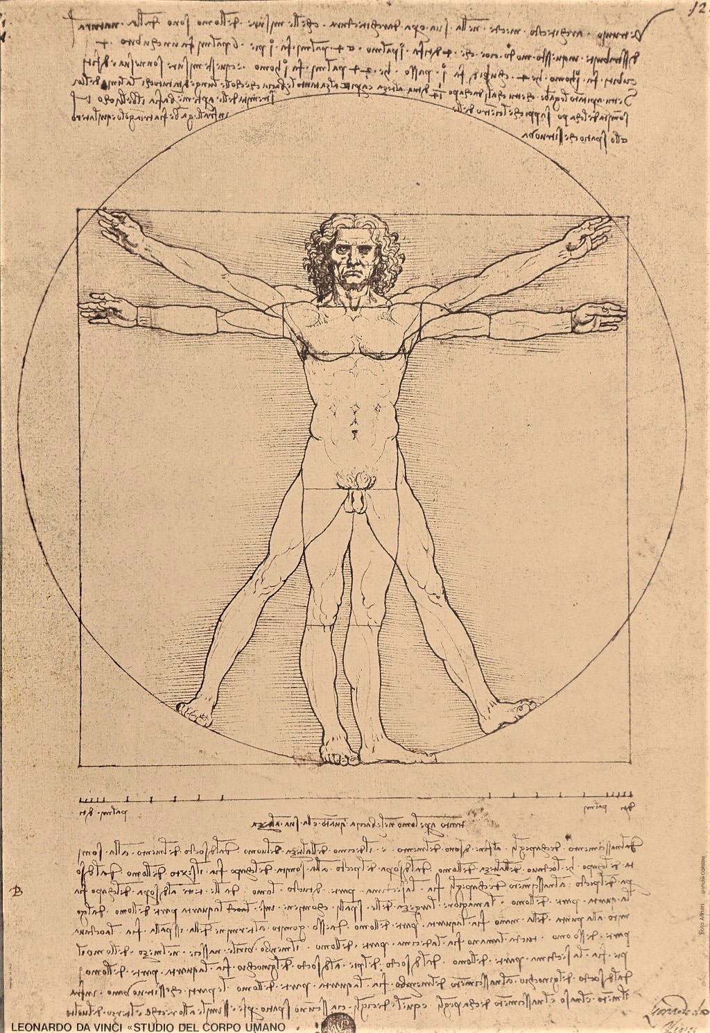 Leonardo da Vinci "Studio del corpo umano"