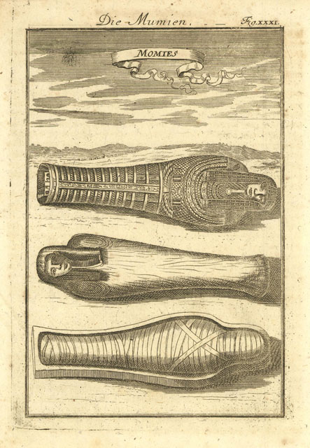 Momies