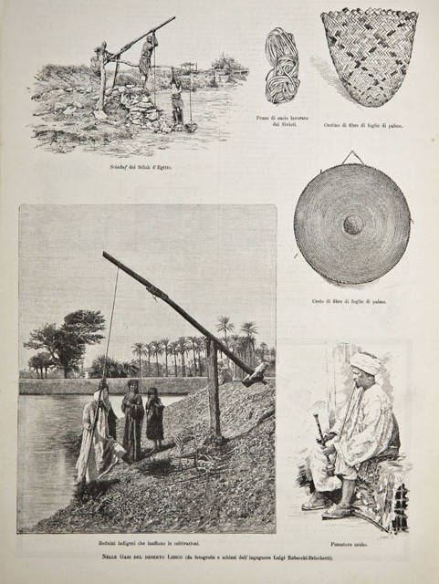 Nelle Oasi del deserto Libico