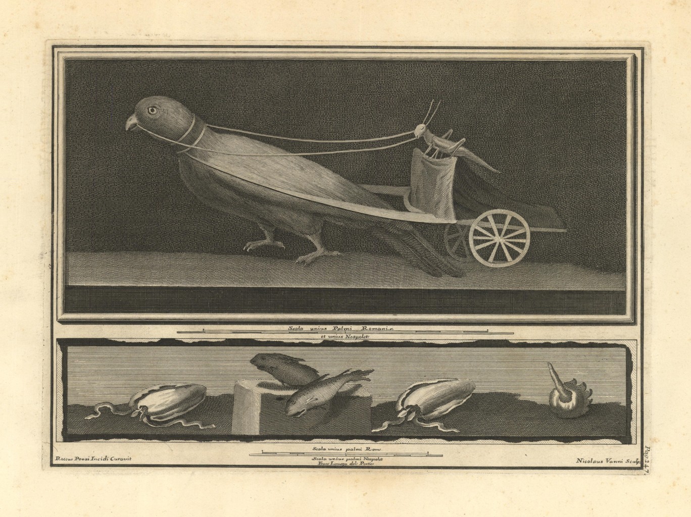 Pappagallo con carretto (senza titolo)