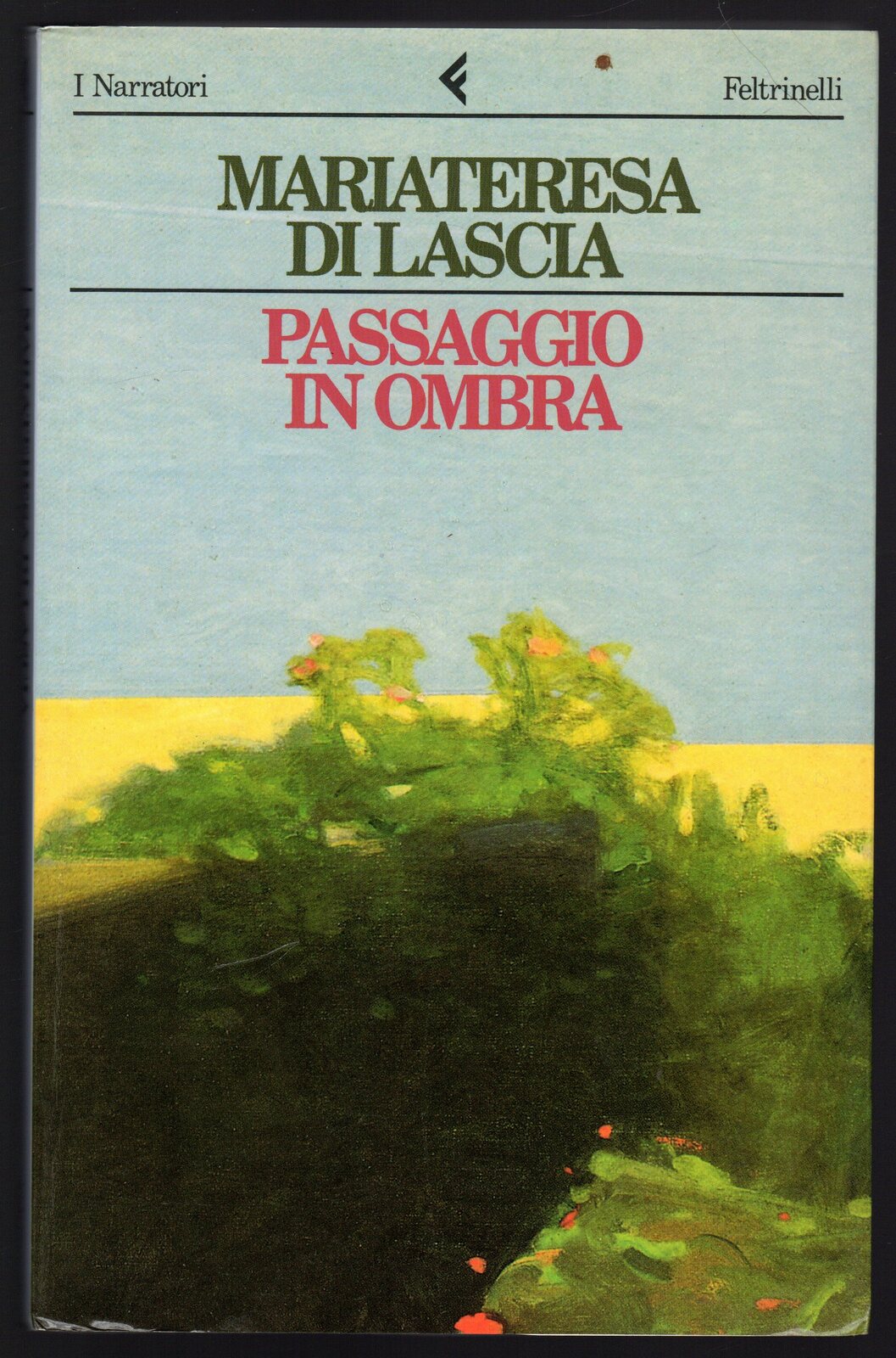 Passaggio in ombra