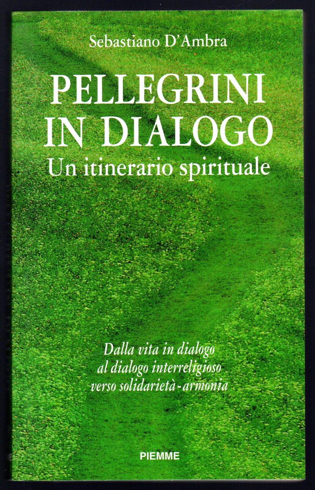 Pellegrini in dialogo. Un itinerario spirituale