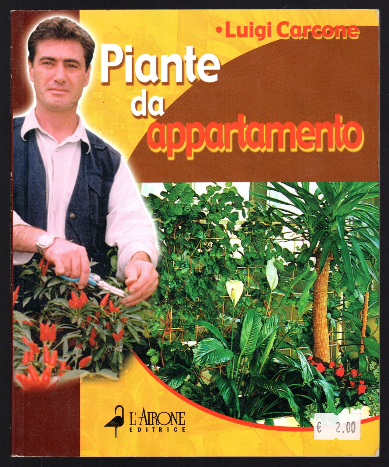 Piante da appartamento