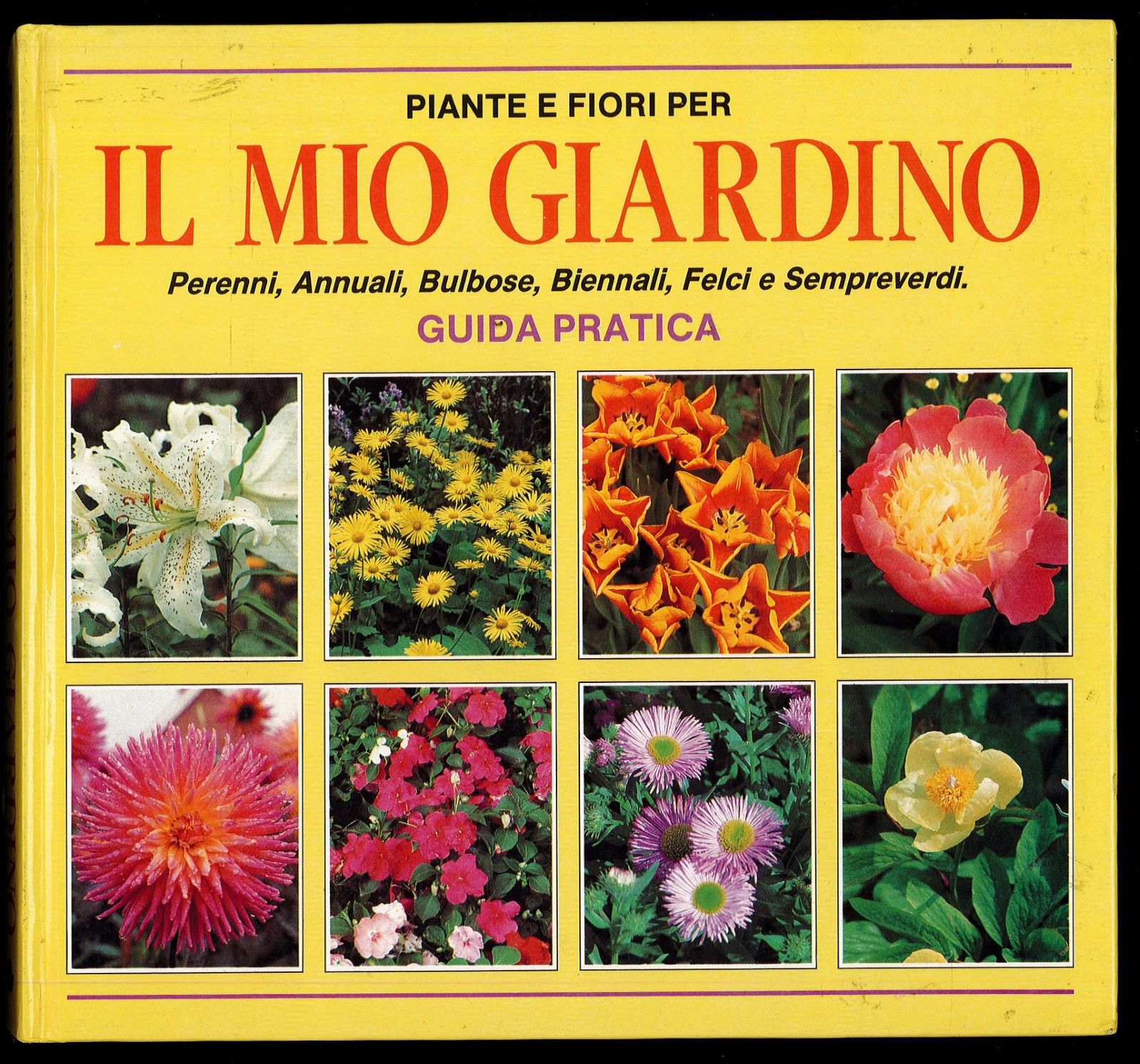 Piante e Fiori per il mio giradino guida pratica
