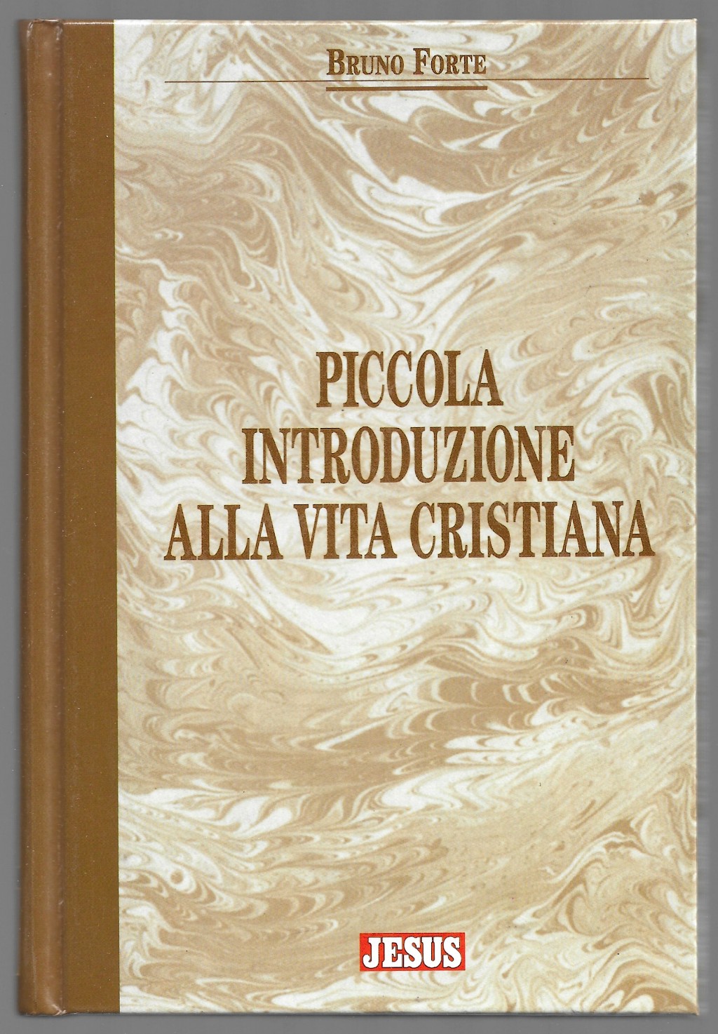 Piccola introduzione alla vita cristiana