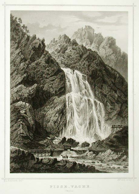Pisse - Vache / (Wallis)
