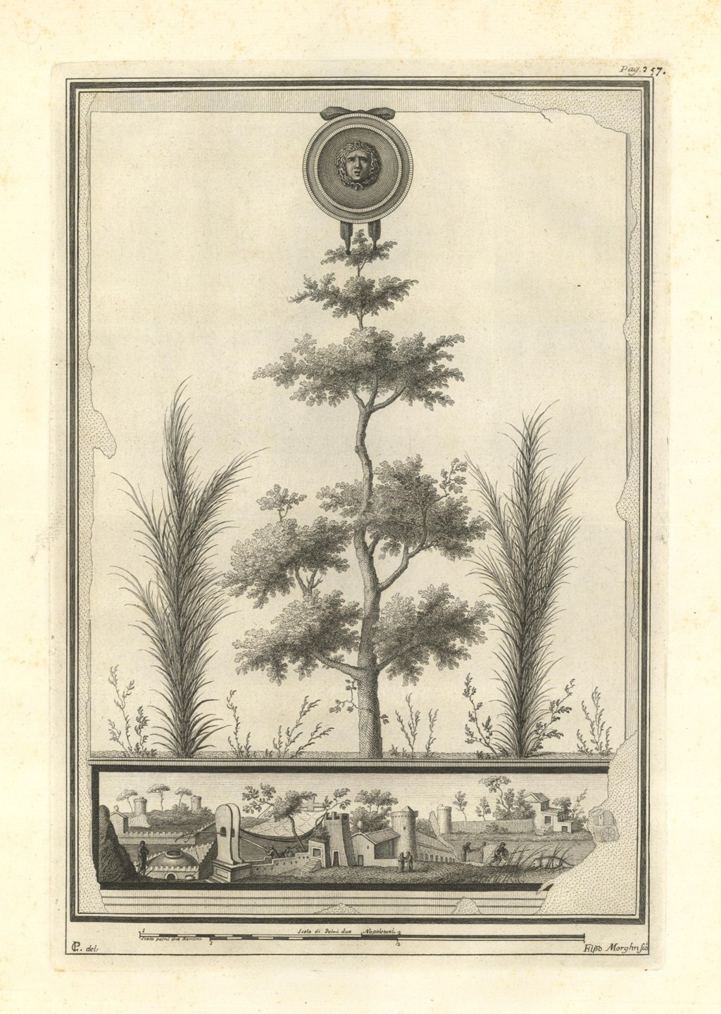 Quercia (senza titolo)