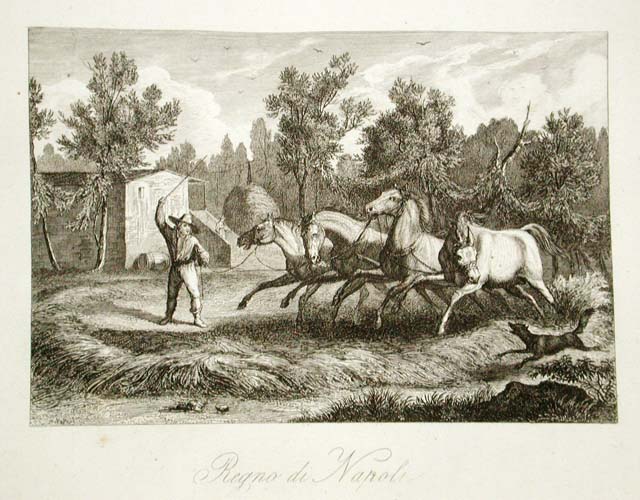 Regno di Napoli