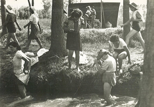 Riso Amaro (senza titolo)