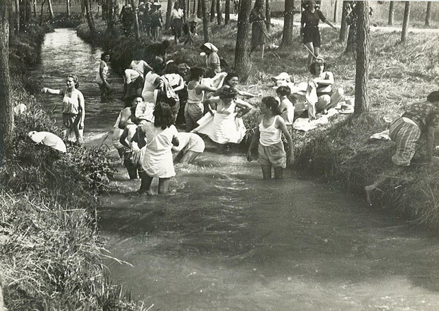 Riso Amaro (senza titolo)