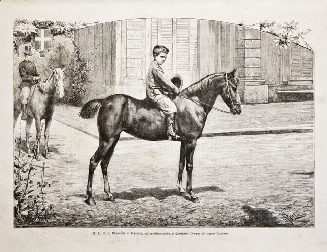 S. A. R. il Principe di Napoli, sul cavallino arabo, …