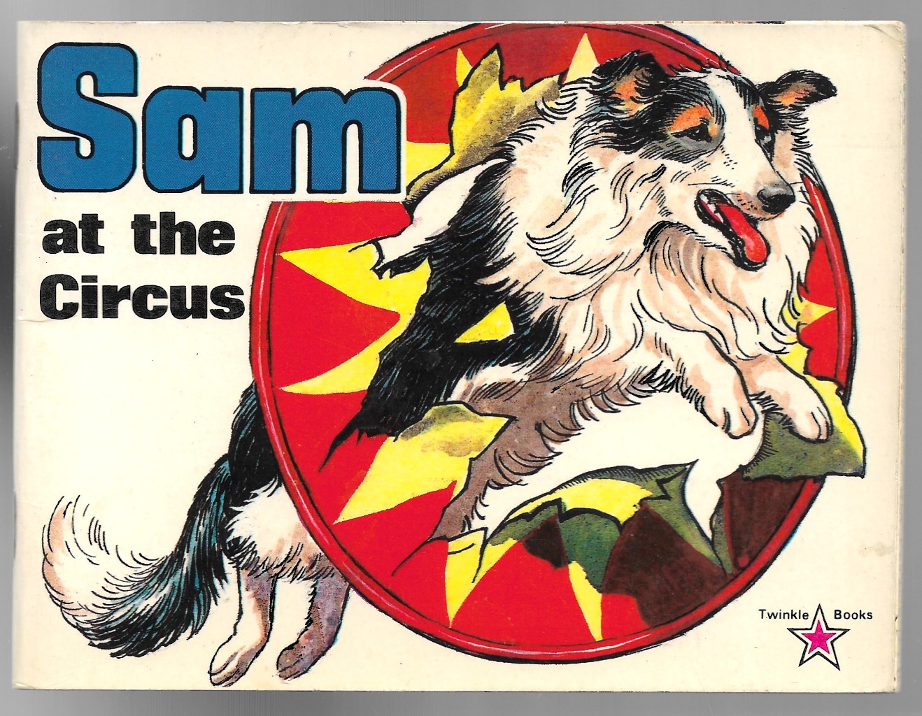 Sam at the Circus