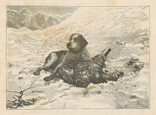 San Bernardo (senza titolo)