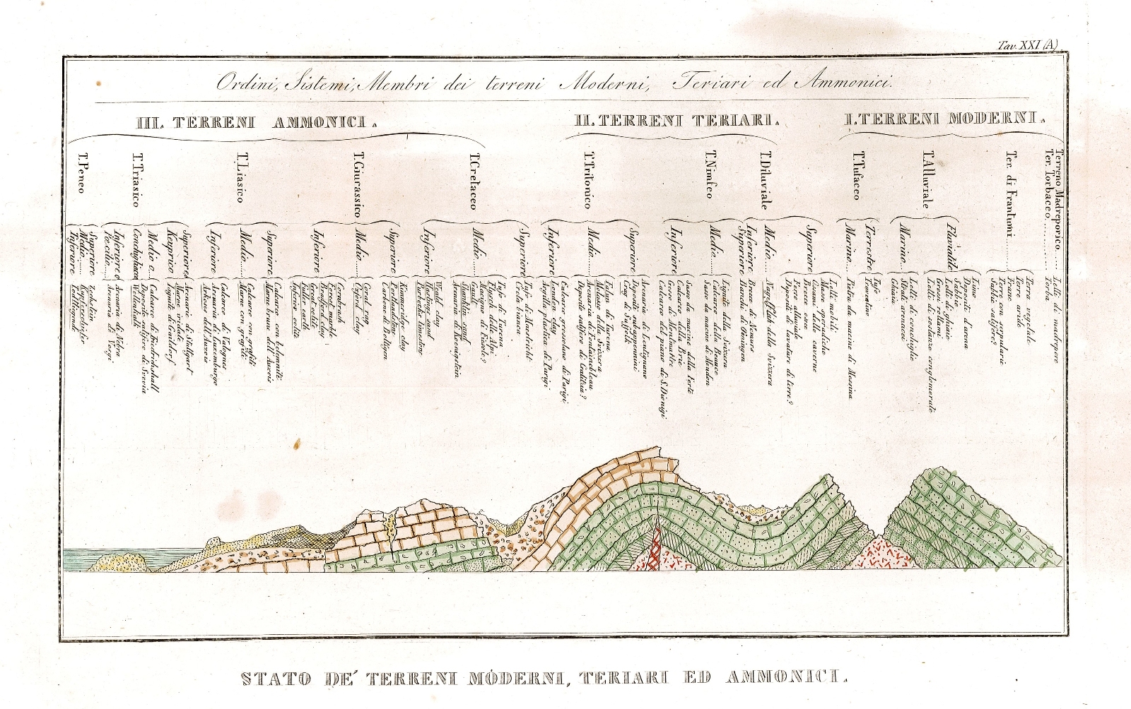 Stato de’ Terreni Moderni, Teriari ed Ammonici