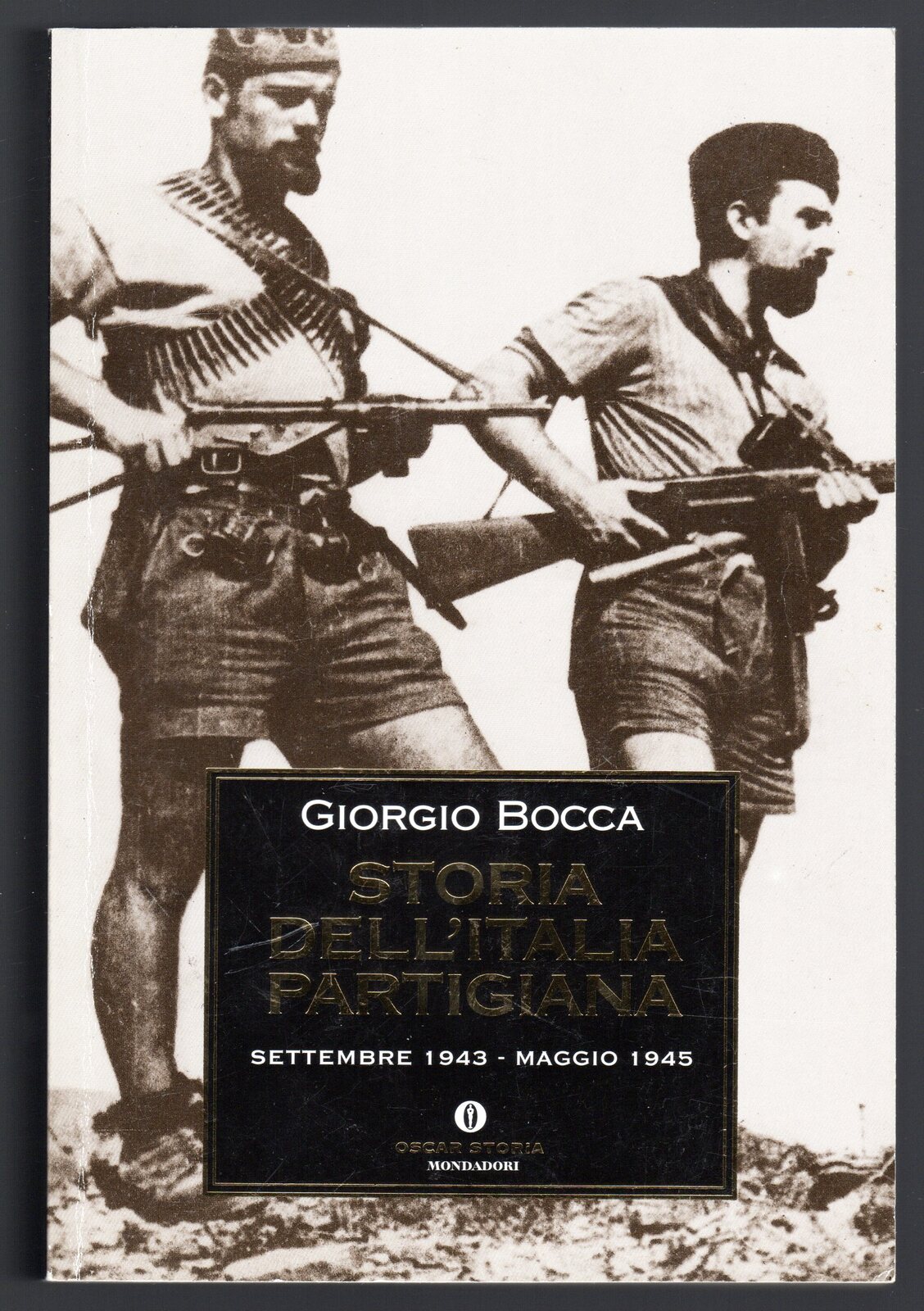 Storia dell'Italia partigiana. Settembre 1943 - Maggio 1945