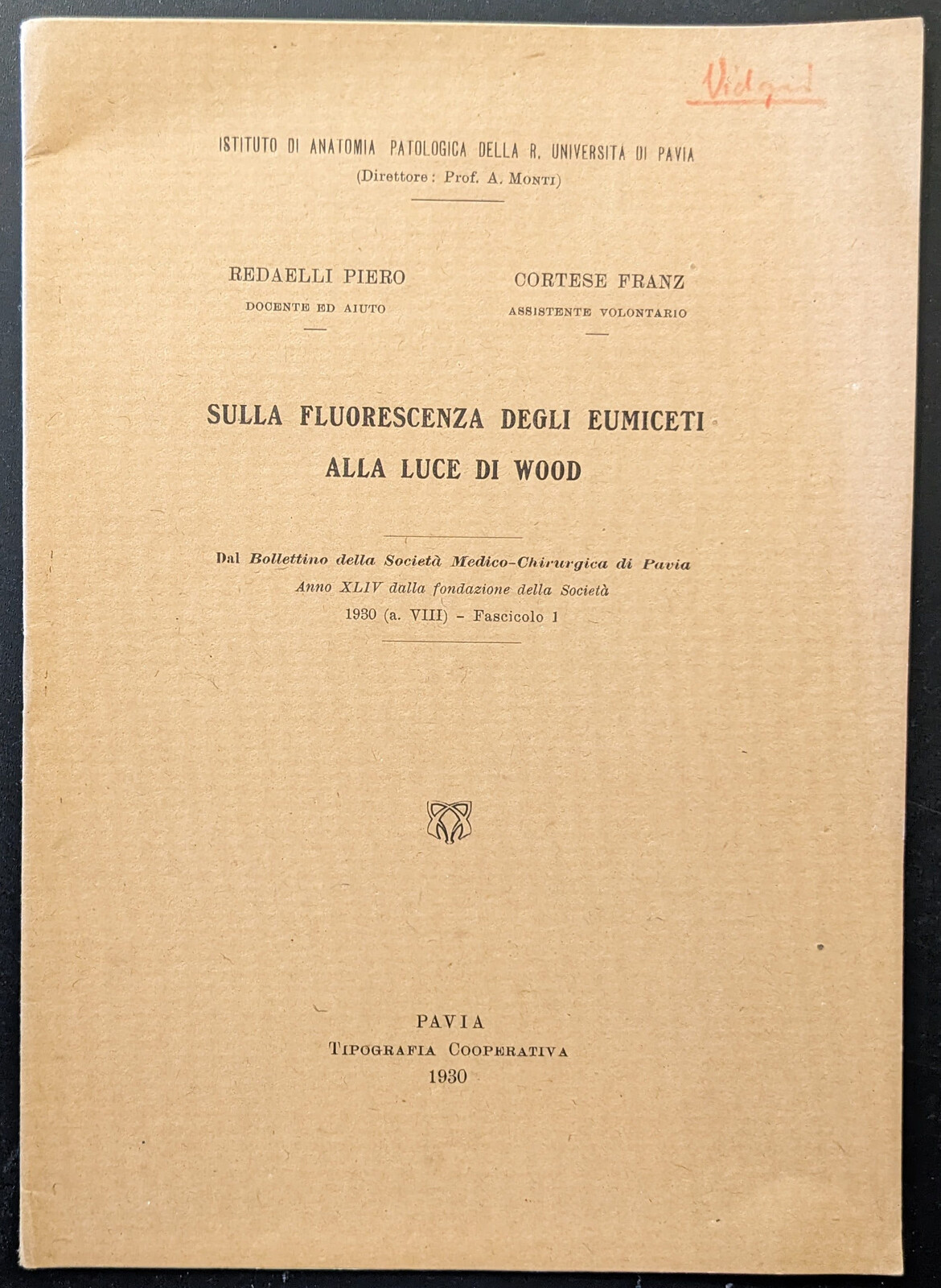 Sulla fluorescenza degli eumiceti alla luce di wood