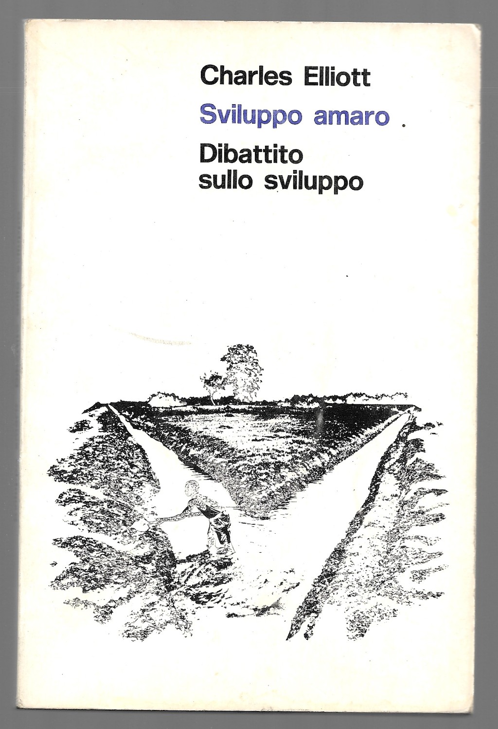 Sviluppo amaro - Dibattito sullo sviluppo