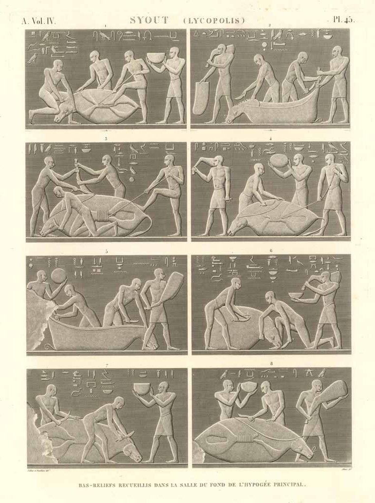 Syout (Lycopolis) - Bas-reliefs recueillis dans la salle du fond …