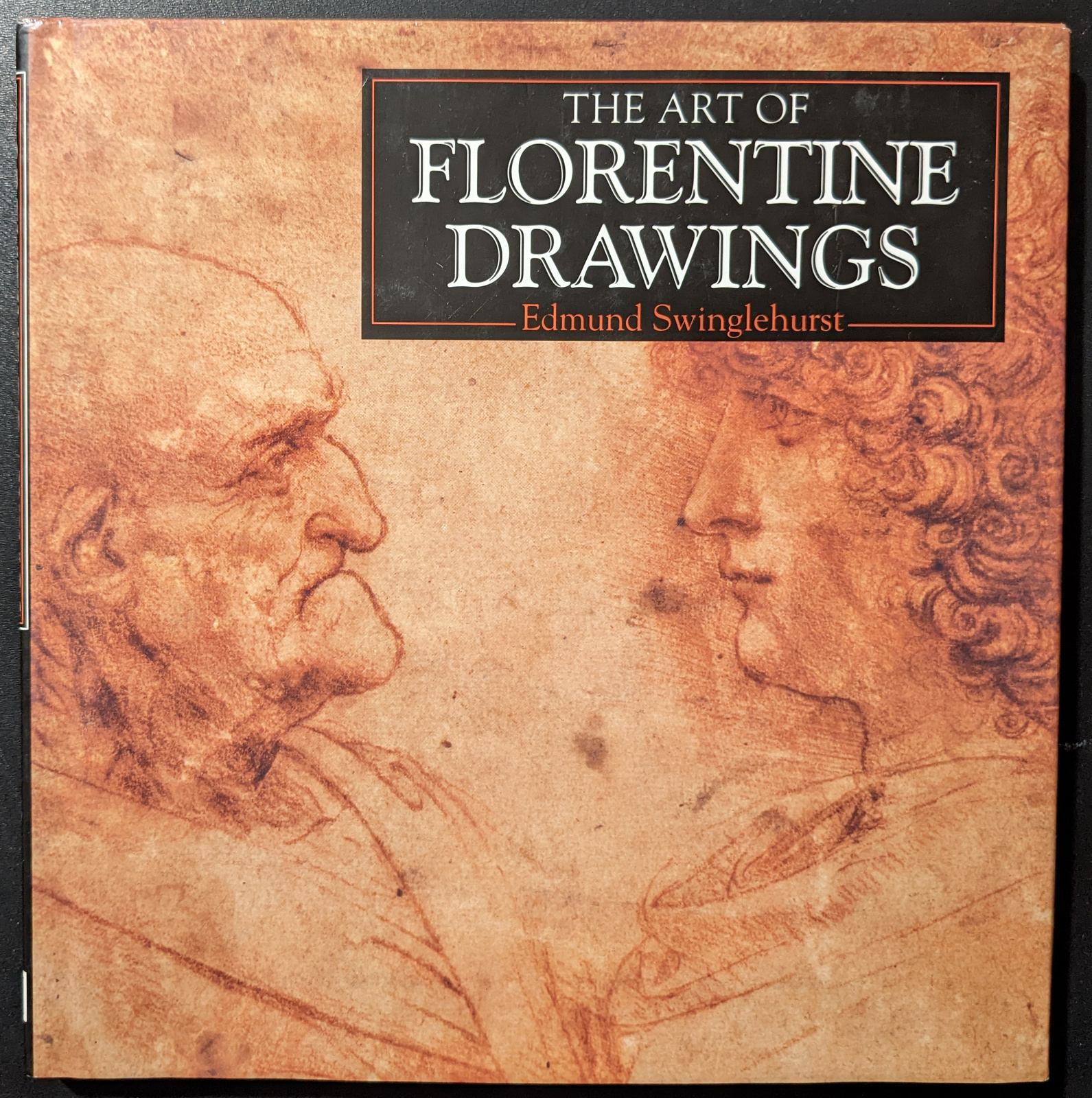 The art of florentine drawings